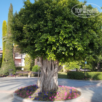 фото из отзыва ID 2693867