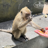 фото из отзыва ID 2693629