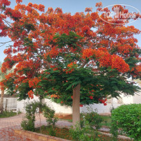 фото из отзыва ID 2694049