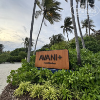 фото из отзыва ID 2694053