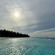 фото из отзыва ID 2694053
