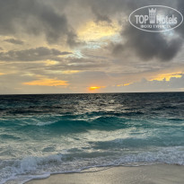 фото из отзыва ID 2694053