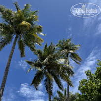 фото из отзыва ID 2694053