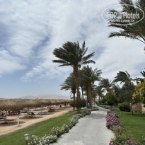 фото из отзыва ID 2694045