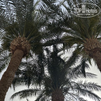 фото из отзыва ID 2694045