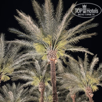 фото из отзыва ID 2694045