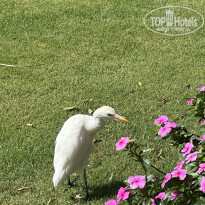 фото из отзыва ID 2694045