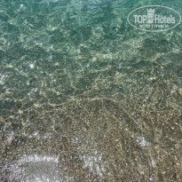 фото из отзыва ID 2694057