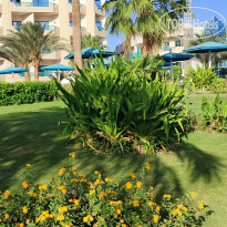 фото из отзыва ID 2694062