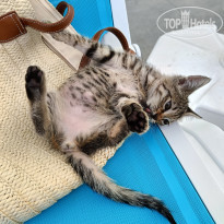 фото из отзыва ID 2694043