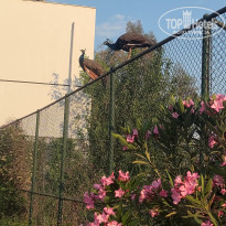 фото из отзыва ID 2694024