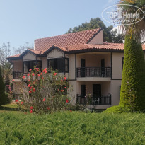 фото из отзыва ID 2694024