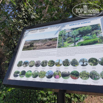 фото из отзыва ID 2694024