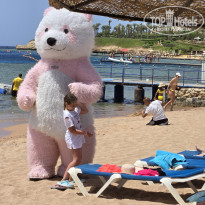 фото из отзыва ID 2694067