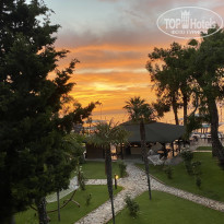 фото из отзыва ID 2694003