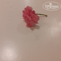 фото из отзыва ID 2694078
