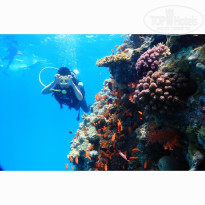 фото из отзыва ID 2694078