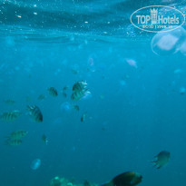 фото из отзыва ID 2694158