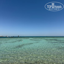 фото из отзыва ID 2694158