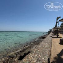 фото из отзыва ID 2694158