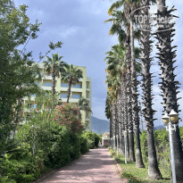 фото из отзыва ID 2694194