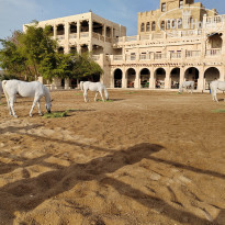 фото из отзыва ID 2694199