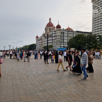 фото из отзыва ID 2694209