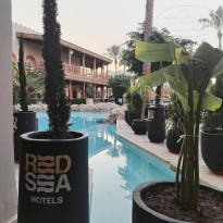 фото из отзыва ID 2694241