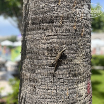 фото из отзыва ID 2694273