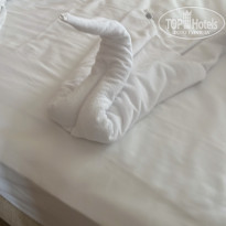 фото из отзыва ID 2694273