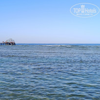 фото из отзыва ID 2694281