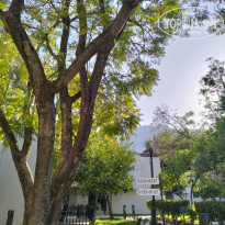 фото из отзыва ID 2694288