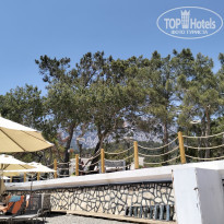 фото из отзыва ID 2694288