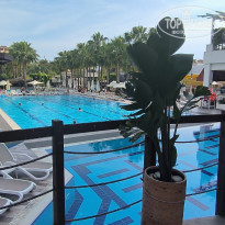 фото из отзыва ID 2694300