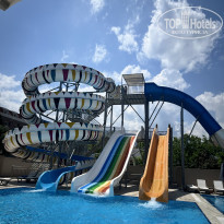 фото из отзыва ID 2694332