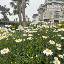 фото из отзыва ID 2694332