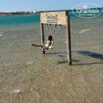 фото из отзыва ID 2694374