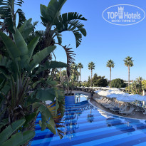 фото из отзыва ID 2694324