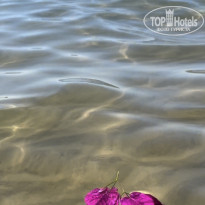 фото из отзыва ID 2694324