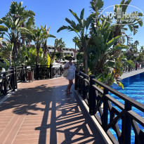 фото из отзыва ID 2694324