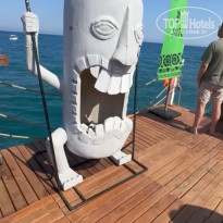 фото из отзыва ID 2694171