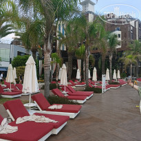 фото из отзыва ID 2693433