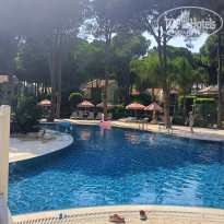 фото из отзыва ID 2693433