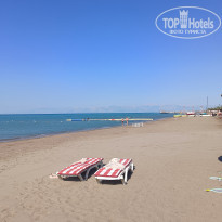 фото из отзыва ID 2693433