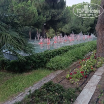 фото из отзыва ID 2693433