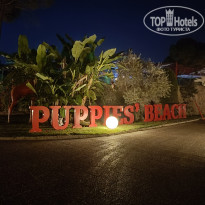 фото из отзыва ID 2693433