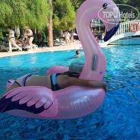 фото из отзыва ID 2693433