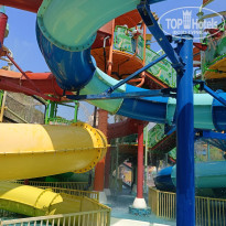 фото из отзыва ID 2693433