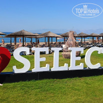 фото из отзыва ID 2693433