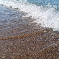 фото из отзыва ID 2693433